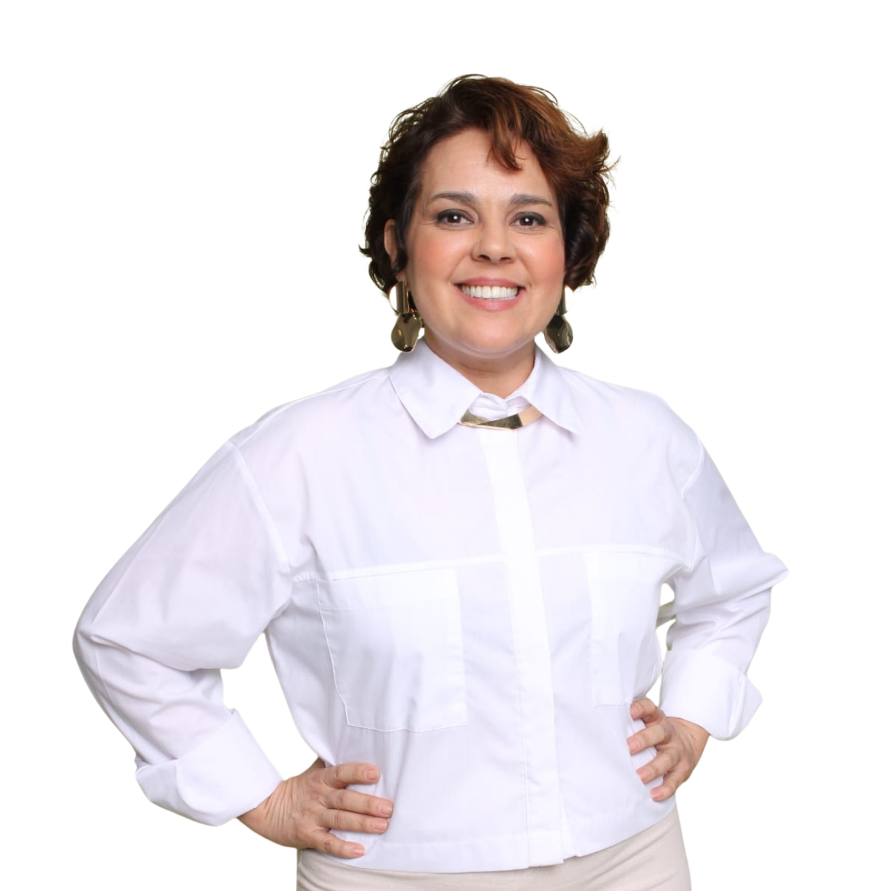 Fundadores SST Virtual